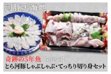 奇跡の５年魚【5年もの】とら河豚しゃぶしゃぶ120g・てっちり切り身250gセット(ざく80g付）