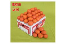＜2024年12月発送＞坂出ふれあい産直市の小原紅早生 約5kg（箱）
