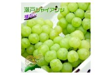 《2025年発送》香川産のもぎたて瀬戸ジャイアンツ2kg【ご家庭用】