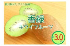 ＜先行受付　2025年発送＞香緑　キウイフルーツ 約3.0kg