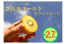 ＜先行受付　2025年発送＞さぬきゴールド　キウイフルーツ　約2.7kg