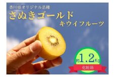 ＜先行受付　2025年発送＞さぬきゴールド　キウイフルーツ　約1.2kg（化粧箱）
