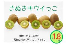 ＜先行受付　2025年発送＞さぬきキウイっこ　キウイフルーツ　約1.8kg