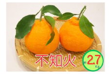 ＜先行受付　2026年発送＞不知火　約2.7kg