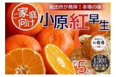 【お歳暮ギフト/熨斗対応】特秀品！小原紅早生みかん　約5kg【坂出発祥の真っ紅なお蜜柑】