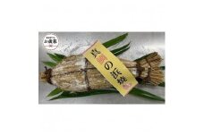 【お歳暮ギフト】天然真鯛の浜焼　１尾（4～5人前）