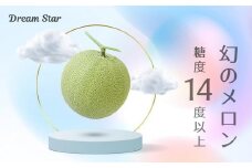 【2025年5月以降発送】さぬきメロン Dream Star 1.3kg以上｜メロン 糖度 14度以上 甘い フルーツ 果物 くだもの 特産 ふるさと 坂出市 香川 さぬき 食品 人気 おすすめ 送料無料