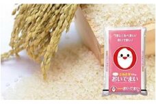【さぬき米】令和6年産　おいでまい 5kg
