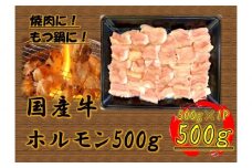 国産牛　ホルモンセット　500g