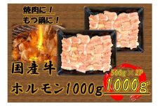 国産牛　ホルモンセット　1000g