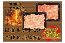国産牛　ホルモン二種セット1000g