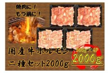 国産牛　ホルモン二種セット2000g