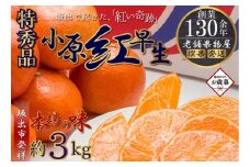 【お歳暮ギフト/熨斗対応】特秀品！小原紅早生みかん　約3kg【坂出発祥の真っ紅なお蜜柑】