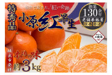 【お歳暮ギフト/熨斗対応】特秀品！小原紅早生みかん　約3kg【坂出発祥の真っ紅なお蜜柑】