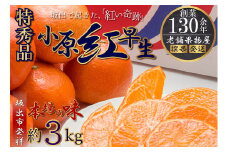 特秀品！小原紅早生みかん　約3kg【坂出発祥の真っ紅なお蜜柑】