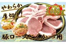 柔らか厚切り！豚ロースとんかつ用　2kg(18～22枚入り)