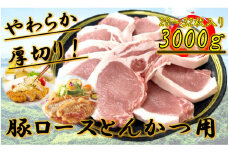 柔らか厚切り！豚ロースとんかつ用　3kg(28～32枚入り)
