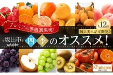 【全12回】《プレミアム等級選果実！》坂出市四季のオススメ！旬果実単品定期便♪