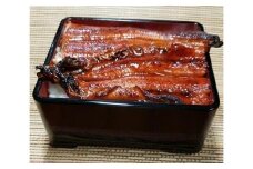 源内 うなぎの蒲焼 2尾 ( 150g × 2尾 ) 香川県産 ｜ うなぎ 蒲焼 たれ・粉山椒付き