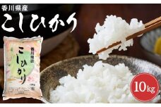 令和7年度　新米　香川県産コシヒカリ10kg