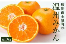 坂出市王越町の温州みかん 10kg（約5kg×2箱）