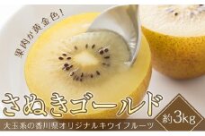 さぬきゴールドキウイ　約3kg（20～24玉入り）