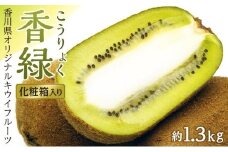 香緑（こうりょく）キウイフルーツ　約1.3kg化粧箱入り