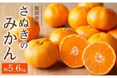 坂出市産「さぬきのみかん」 約5.6kg（約2.8kg×2箱）