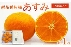新品種柑橘「あすみ」約1kg 化粧箱入り