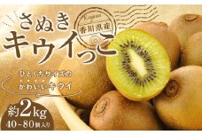 さぬきキウイっこ　香川県産　約2kg（40～80個入り）