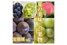 【2026年度先行予約】【定期便3回】夏の美味しい果物
