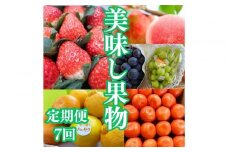【定期便全7回】美味しい果物定期便　