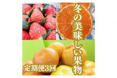 【定期便全３回】冬の美味しい果物
