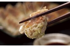 たれ屋のクロワッサン餃子2セット（生餃子48個入り×2・酢醤油たれ4本）　※「ラヴィット！」「櫻井・有吉ＴＨＥ夜会」でも紹介されました！