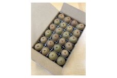 2024年秋収穫 善通寺市産「キウイのたまご」２４玉　約１．１ｋｇ