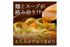 讃岐カレーうどんセット（24人前）