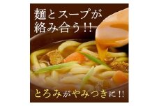 讃岐カレーうどんセット（24人前）