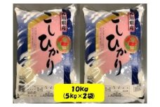 令和６年産 ｢コシヒカリ｣　10㎏（5kg✕２袋）　JA香川　