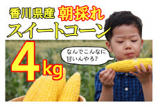 【先行予約受付開始！】2026年産　善通寺市産スイートコーン ４kg　（2026年6月頃から発送開始予定）　