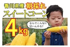 【先行予約受付開始！】2026年産　善通寺市産スイートコーン ４kg　（2026年6月頃から発送開始予定）　