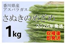 【先行予約受付開始！】2026年産　善通寺市産アスパラ｢さぬきのめざめ」１kg　（2026年3月頃から発送開始予定）　