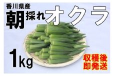 【2025年産】　善通寺市産オクラ １kg