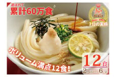 さぬき生うどん12食セット（２人前×6袋）