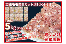 カット済！味付き！若鶏小分けもも切身 5kg (250g×20袋) 