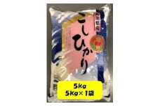 令和６年産 ｢コシヒカリ｣　5ｋｇ（5ｋｇ×1袋）　JA香川　