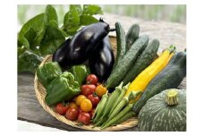 無農薬⭐︎無化学肥料⭐︎無除草剤　夏のお野菜セット（旬の有機野菜5〜10種類前後）
