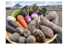 （11月〜お届け）無農薬⭐︎無化学肥料⭐︎無除草剤　冬のお野菜セット（旬の有機野菜5〜10種類前後）