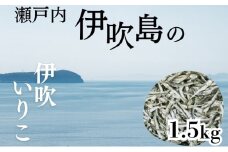 伊吹いりこ 1.5kg　出汁 さぬき特産 魚貝 魚介類