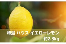 【2025年先行予約】みどり認定 ハウス栽培イエローレモン 2.3kg 国産レモン 香川 柑橘類 レモン　 