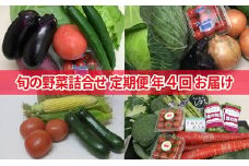 旬の野菜詰合せ（年間4回定期便）